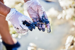 woman found a worm in the sand showing it wearing white gloves