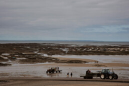 oyster banks at the coast of blainville-sur-mer